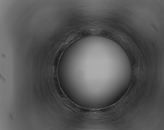 X0000091100752200708061022