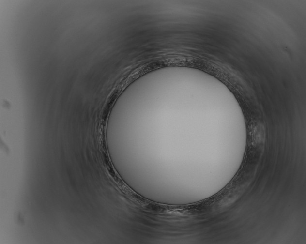 X0000091100753200708061022