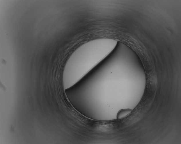 X0000091100754200708061022