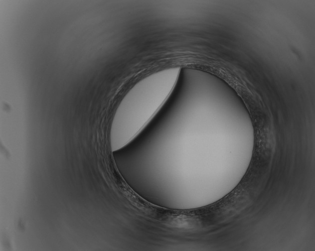 X0000091100755200708061022