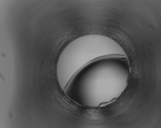 X0000091100756200708061022