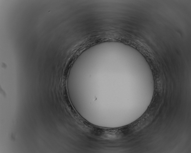 X0000091100757200708061022