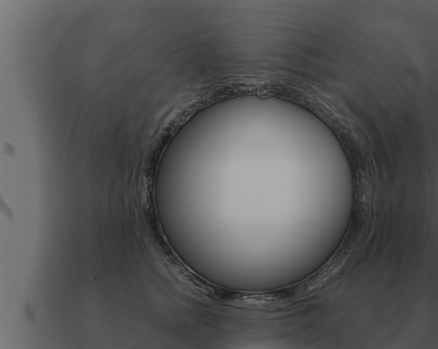 X0000091100758200708061022