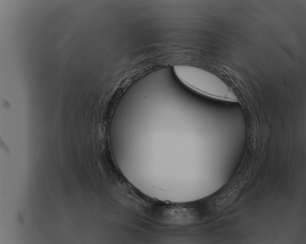 X0000091100759200708061022