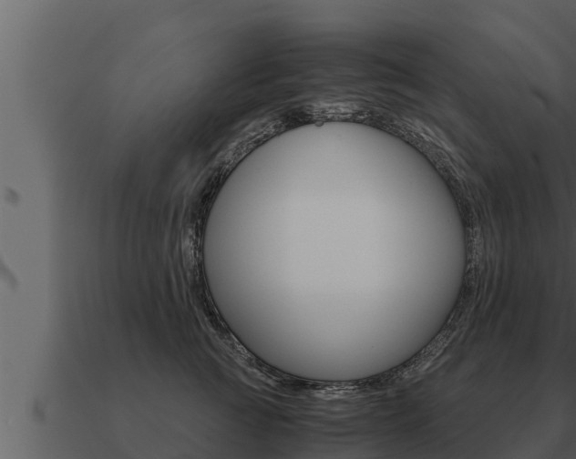 X0000091100761200708061022