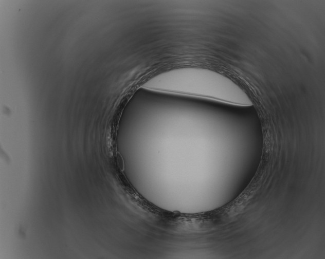 X0000091100764200708061022
