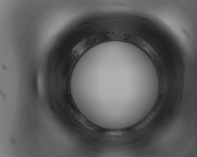 X0000091100765200708061022