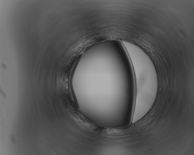 X0000091100766200708061022
