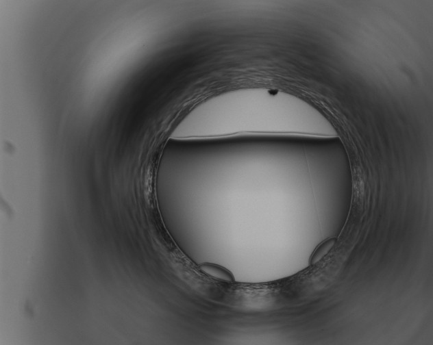 X0000091100767200708061022
