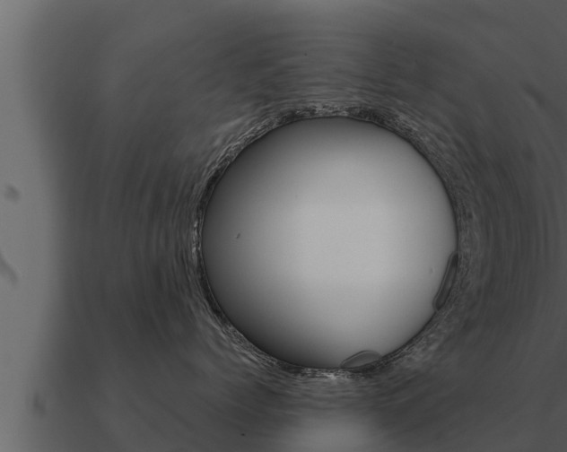 X0000091100768200708061022