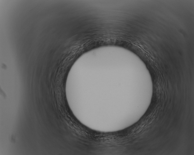 X0000091100769200708061021