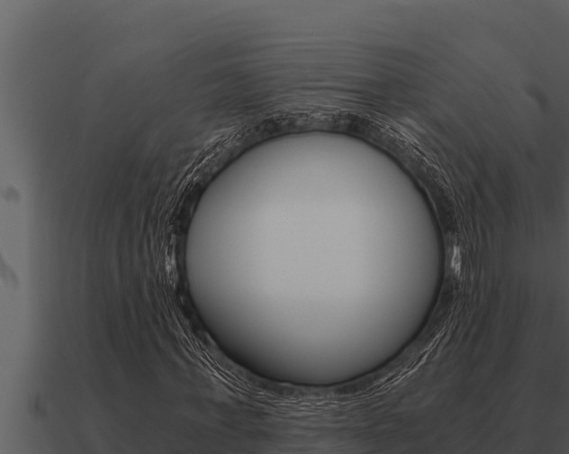 X0000091100771200708061021
