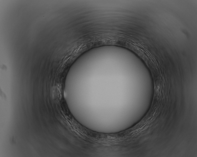 X0000091100772200708061021