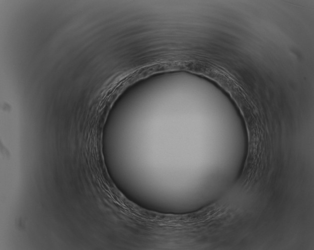 X0000091100773200708061021