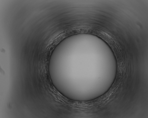 X0000091100774200708061021