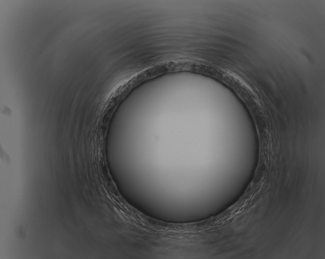 X0000091100775200708061021