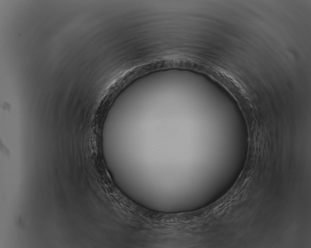 X0000091100776200708061021