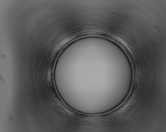 X0000091100778200708061021