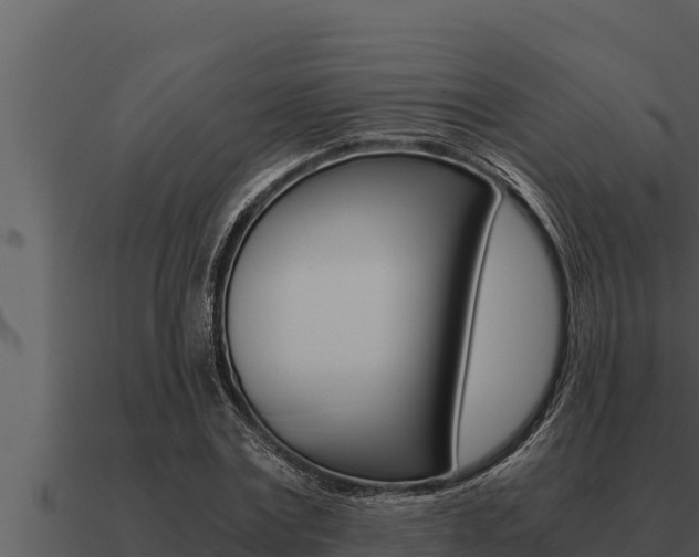 X0000091100779200708061021