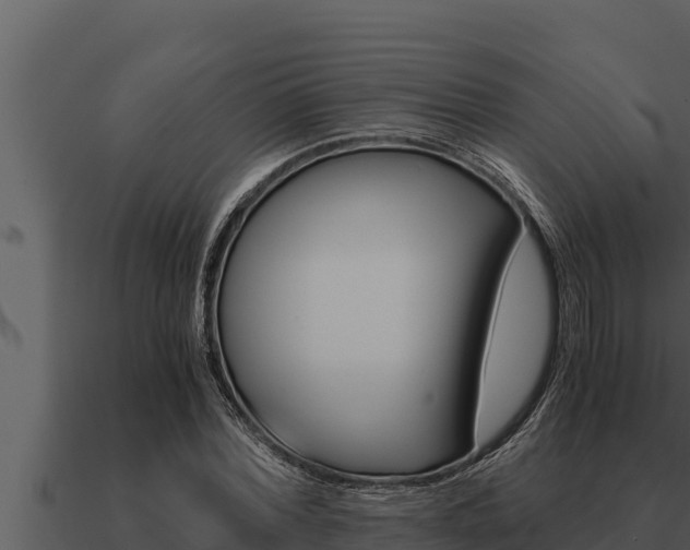 X0000091100780200708061021