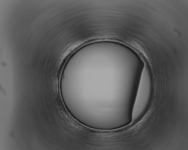 X0000091100781200708061021