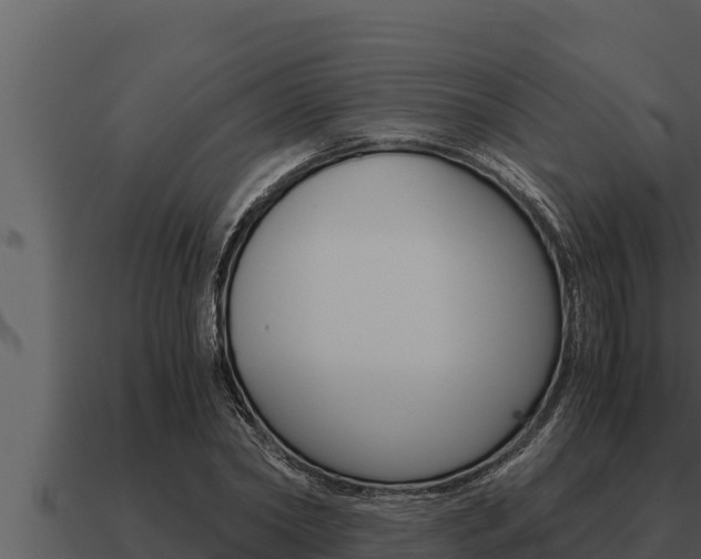 X0000091100782200708061021