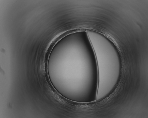X0000091100784200708061021