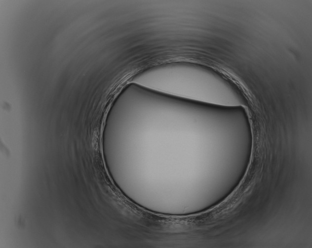 X0000091100785200708061021