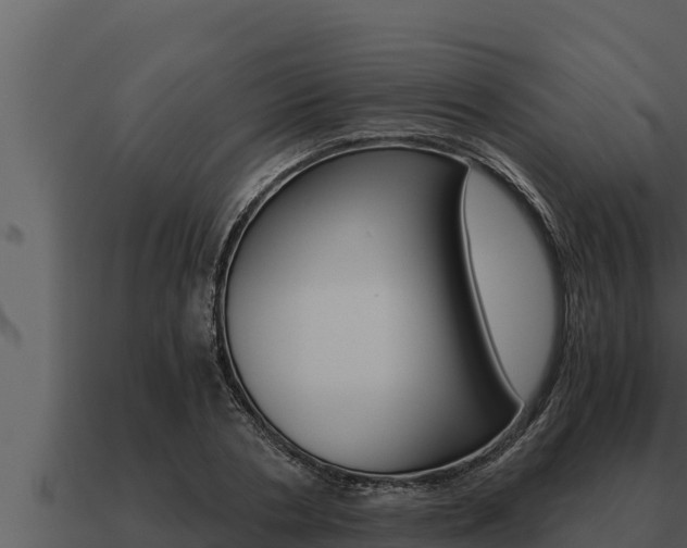 X0000091100786200708061021