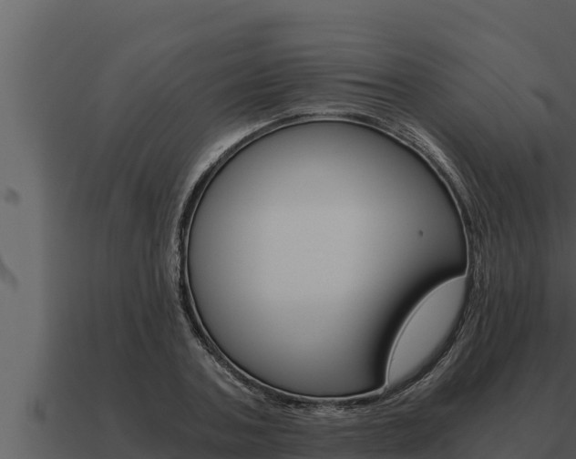 X0000091100787200708061021