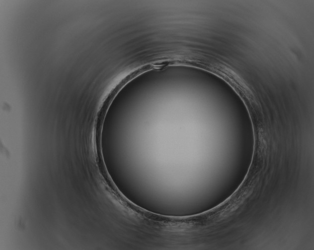X0000091100788200708061021