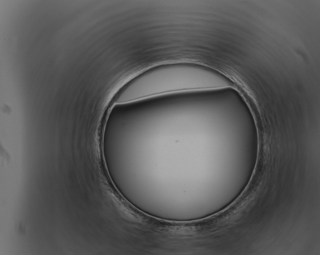 X0000091100789200708061021