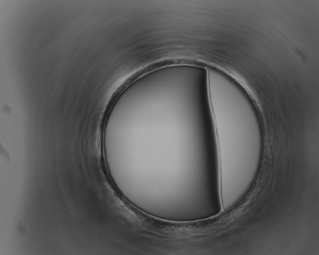 X0000091100791200708061021