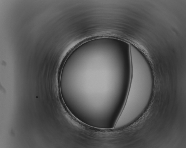 X0000091100792200708061021