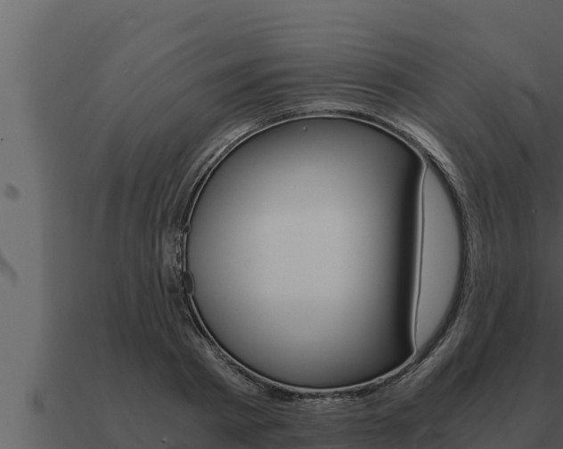 X0000091100793200708061021
