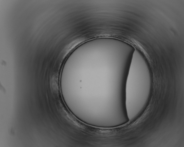 X0000091100794200708061021