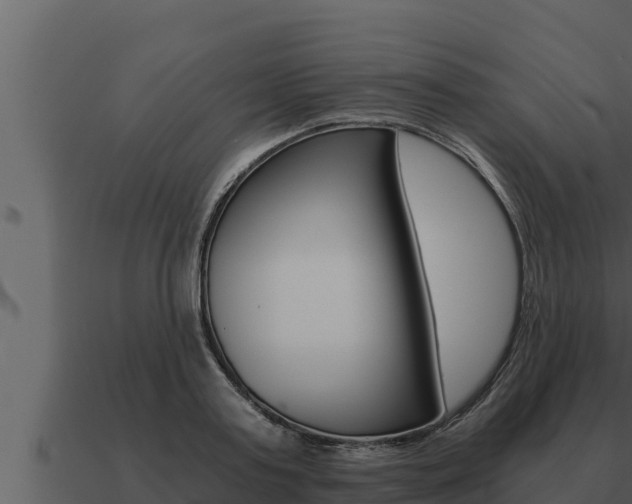 X0000091100795200708061021