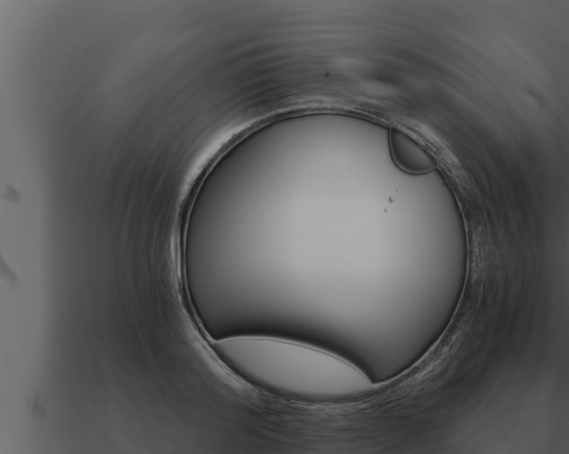 X0000091100796200708061021