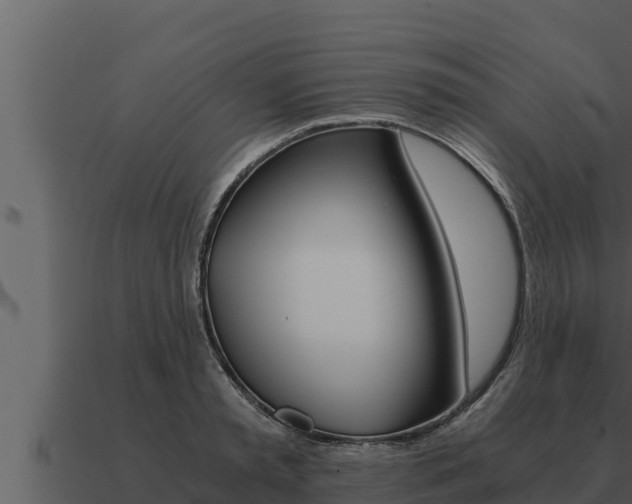 X0000091100797200708061021