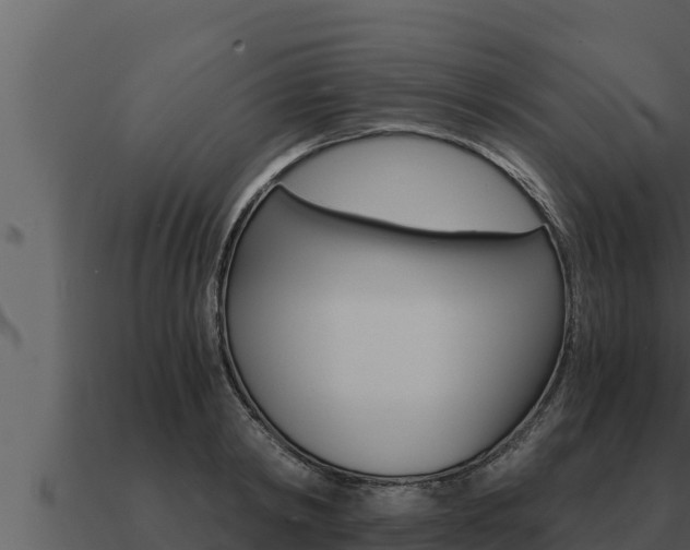 X0000091100798200708061021
