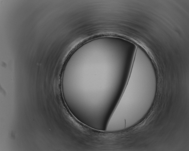 X0000091100799200708061021