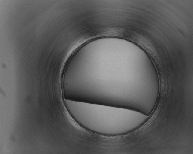 X0000091100800200708061021