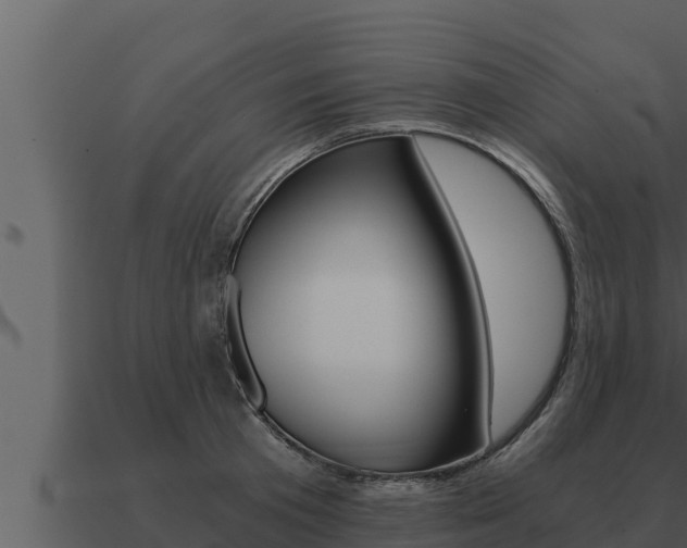X0000091100801200708061021