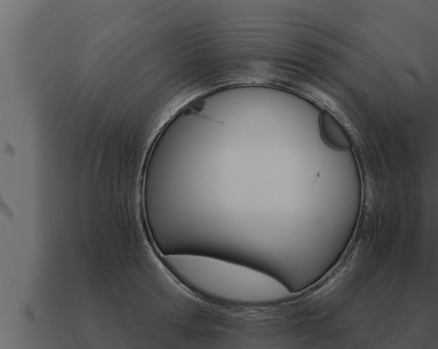 X0000091100802200708061021