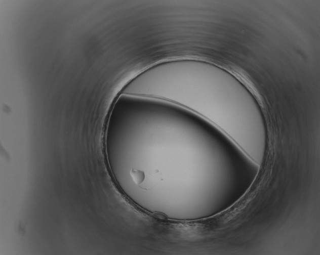 X0000091100805200708061021