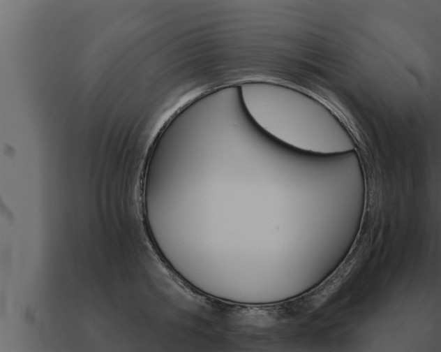 X0000091100806200708061021