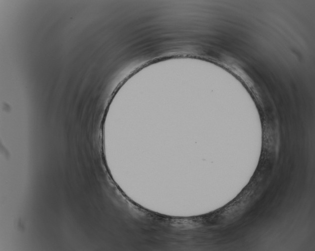 X0000091100807200708061021