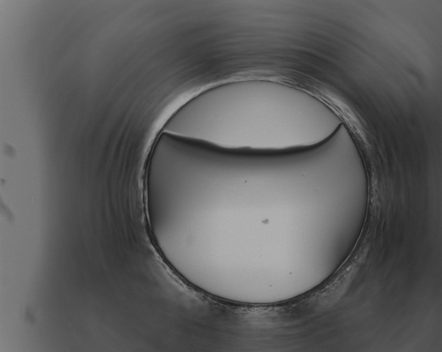 X0000091100808200708061021