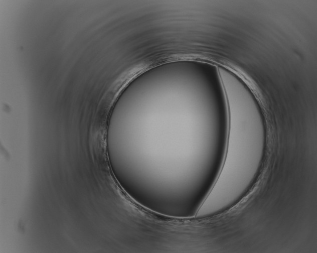 X0000091100809200708061021