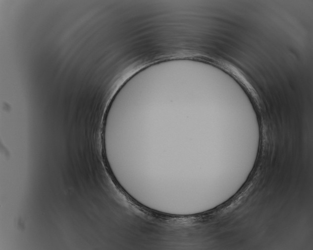 X0000091100810200708061021